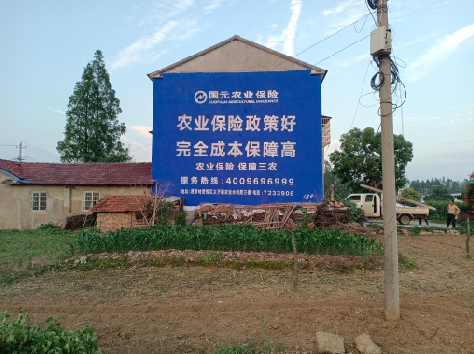 岚皋墙体广告为何受追捧？