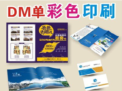 岚皋单页印刷，色彩搭配简单。